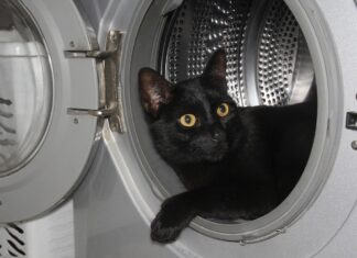 Maşina de spălat – curăţare şi întreţinere