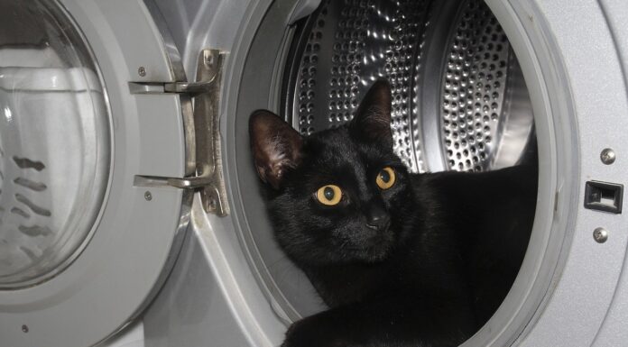 Maşina de spălat – curăţare şi întreţinere