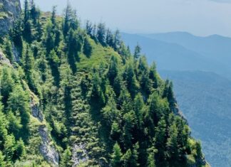 Drumețiile montane – excelentă formă de mişcare şi fitness!