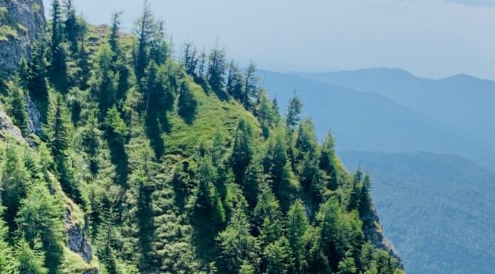 Drumețiile montane – excelentă formă de mişcare şi fitness!