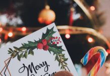 Fursecuri din turtă dulce – Gingerbread