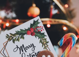 Fursecuri din turtă dulce – Gingerbread