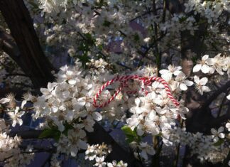 1 martie – vine, vine primavara!