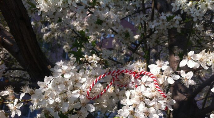 1 martie – vine, vine primavara!