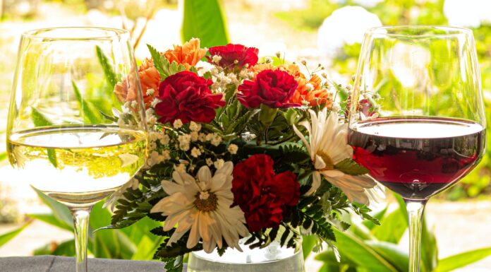 Vinul roşu vs vinul alb