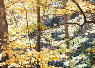 Meteosensibilitatea – mit sau afecțiune?