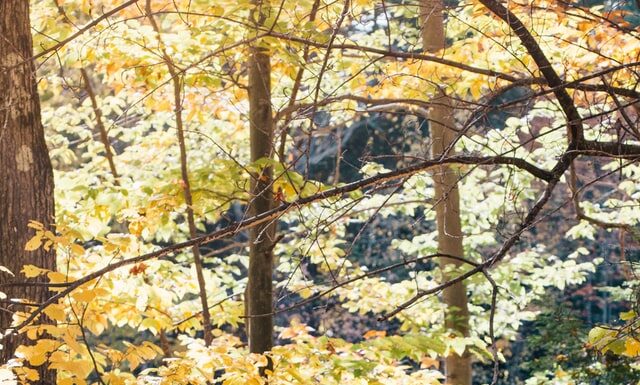 Meteosensibilitatea – mit sau afecțiune?